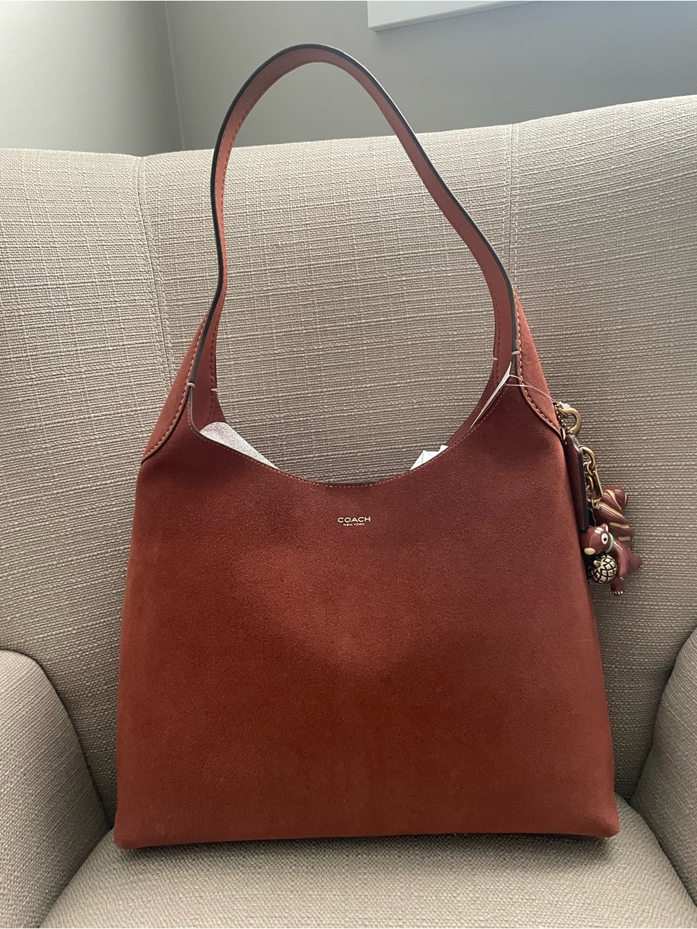 Coach Brooklyn Shoulder Bag 34 suede in colour clay NWT